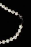 NEW ITEM!          Freshwater Pearl Necklace